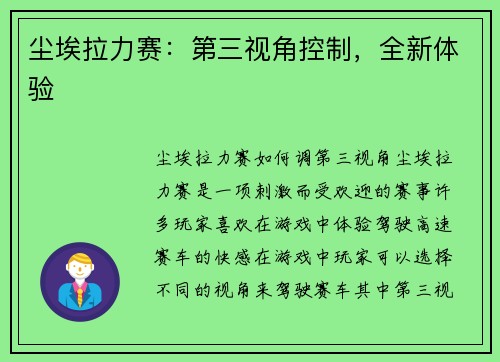 尘埃拉力赛：第三视角控制，全新体验