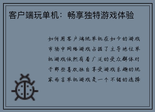 客户端玩单机：畅享独特游戏体验